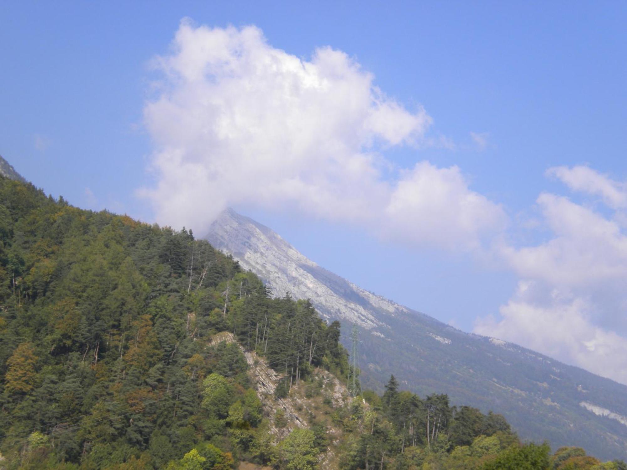 Les Mesanges