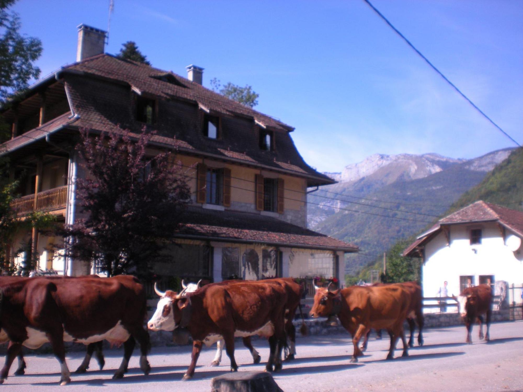 Les Mesanges