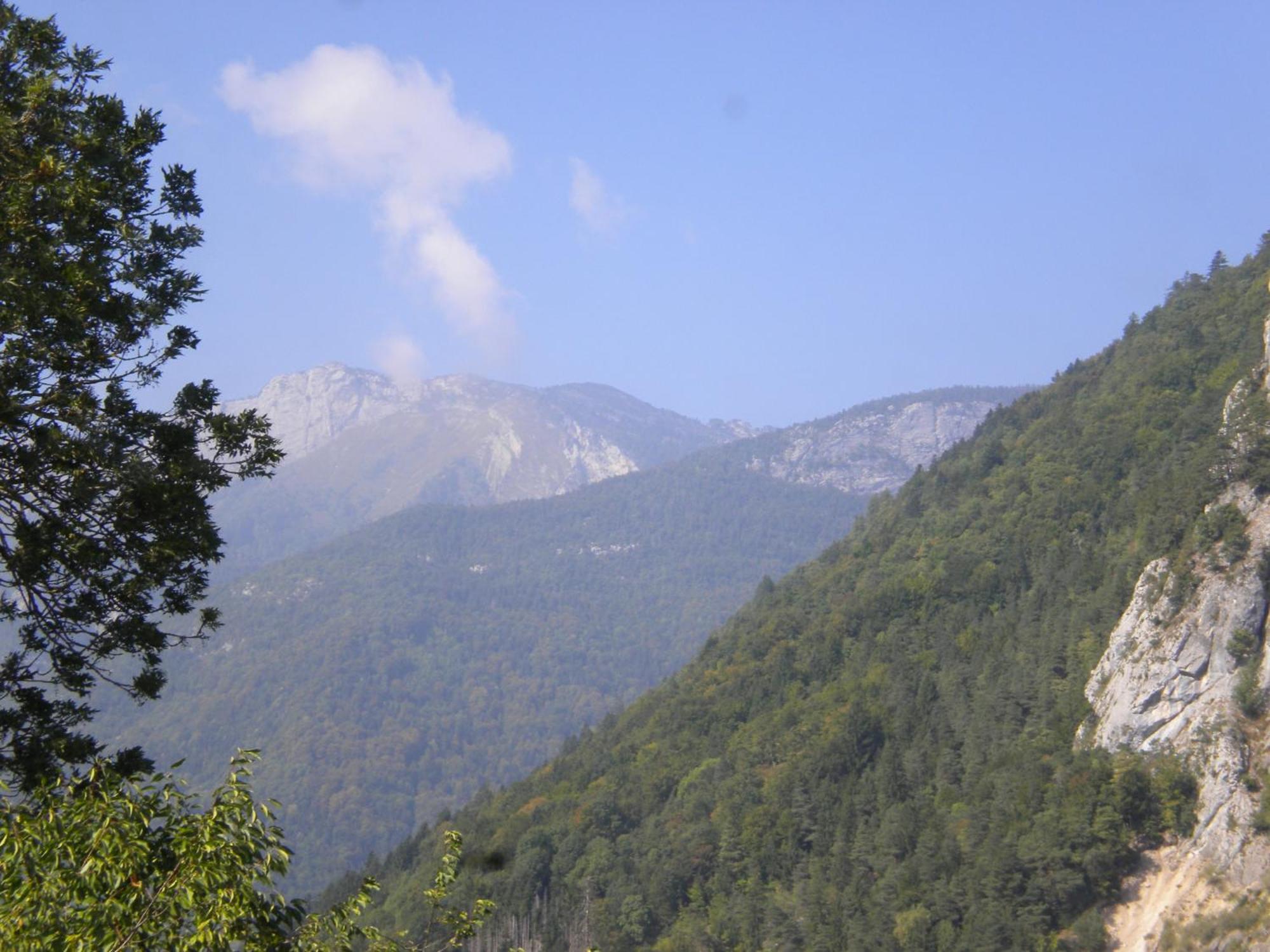 Les Mesanges